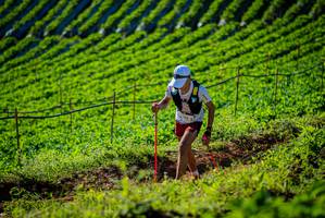 BIB: 
                            <button type="button" onclick="openModal(19160520)" class="btn btn-primary btn-sm float-right btn-popup" data-toggle="modal" data-target=".modal-high-quality">
                        <i class="fas fa-shopping-cart"></i> Add to Cart
                    </button>
                                            <button type="button" onclick="isThisMe(19160520, true)" class="btn btn-success btn-sm float-right btn-popup btn-isme hidden" data-toggle="tooltip" data-placement="bottom" title="นี่คือรูปของคุณใช่ไหม คลิกที่นี่เพื่อเอาเข้าอัลบั้ม">
                        <i class="fas fa-plus"></i> Add to album
                    </button>
                    <button type="button" onclick="isThisMe(19160520, false)" class="btn btn-warning btn-sm float-right btn-popup btn-isnotme hidden">
                        <i class="fas fa-ban"></i> Remove from album
                    </button>